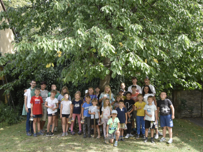 Příměstský tábor 2026